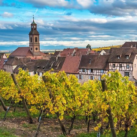 Gite "Le Piemont Des Vosges " Стоцхейм Экстерьер фото