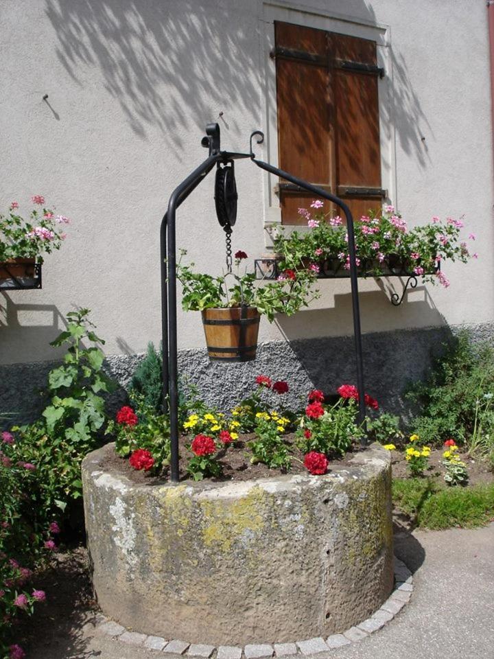 Gite "Le Piemont Des Vosges " Стоцхейм Экстерьер фото
