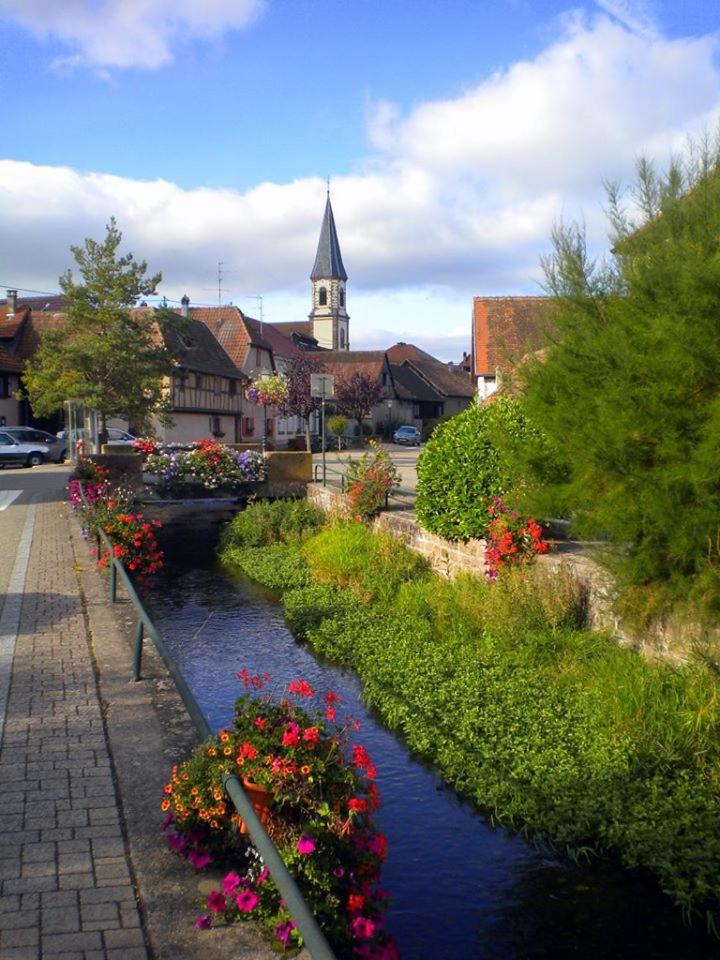 Gite "Le Piemont Des Vosges " Стоцхейм Экстерьер фото