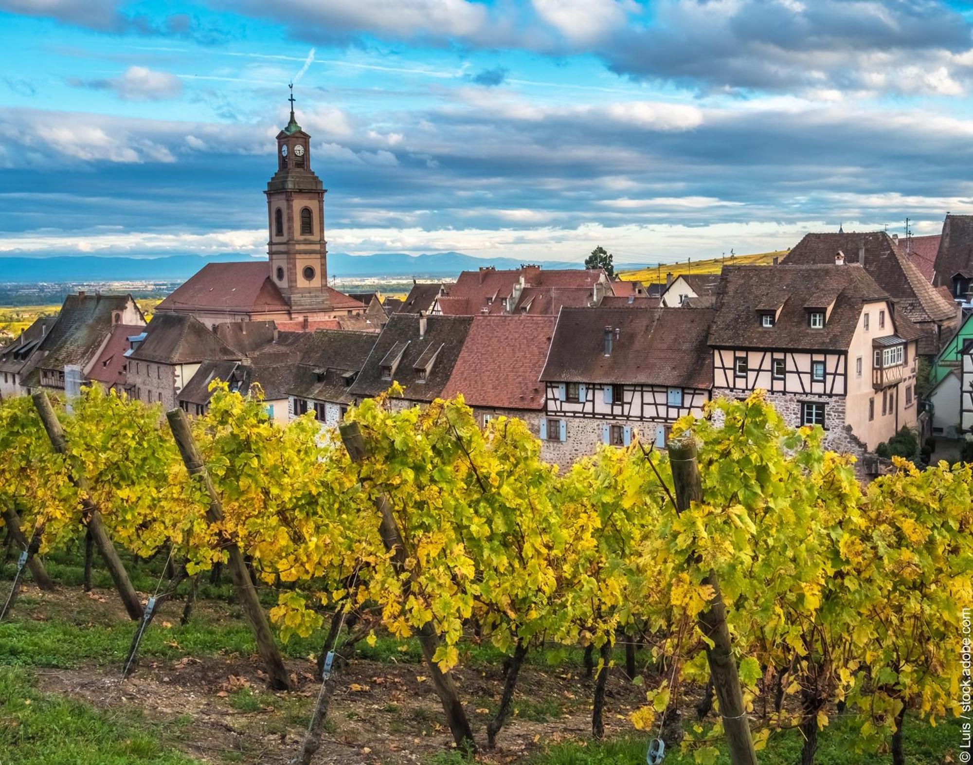Gite "Le Piemont Des Vosges " Стоцхейм Экстерьер фото