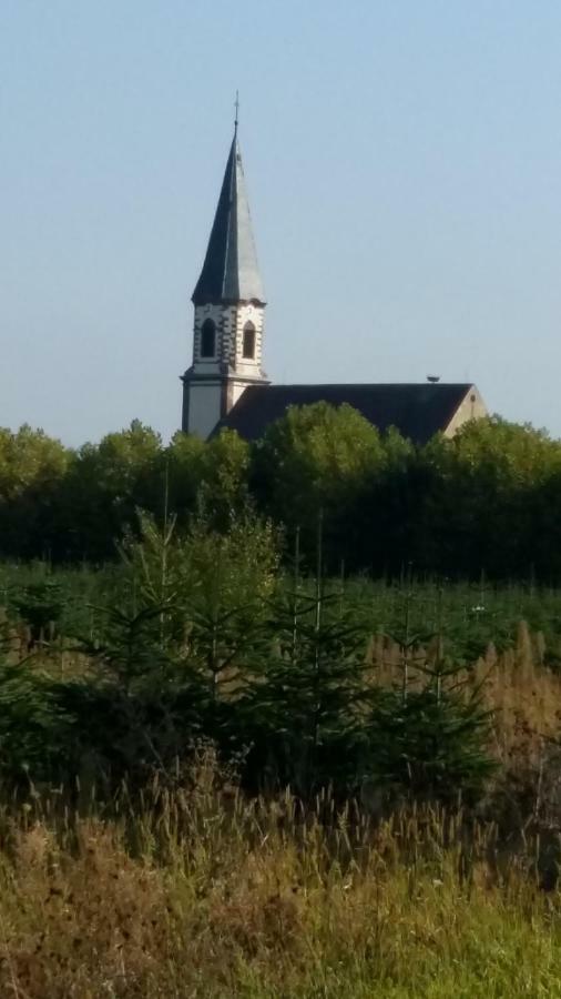 Gite "Le Piemont Des Vosges " Стоцхейм Экстерьер фото